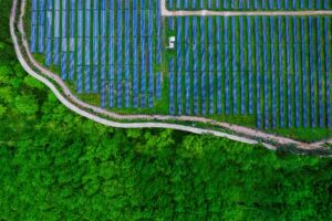 Bio-Renewable Energy