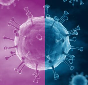 cell interactions