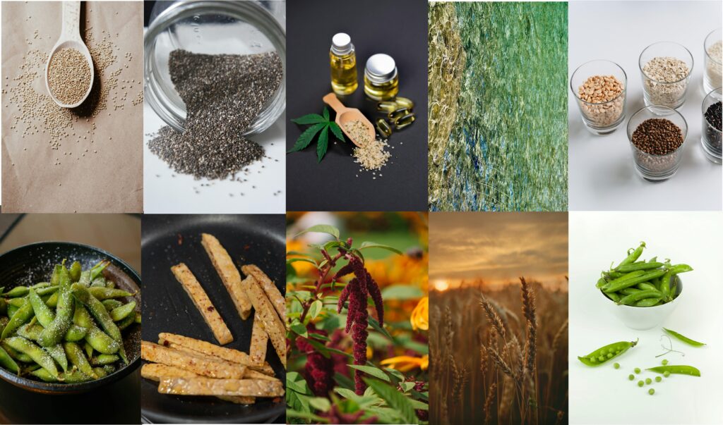 Plant-Based Proteins