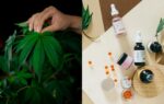 CBD-infused cosmetics