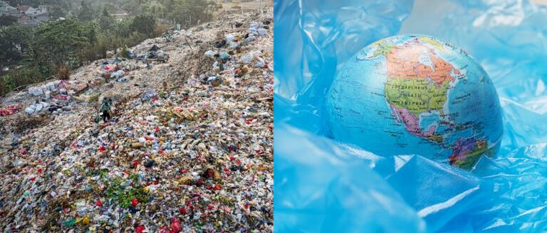 Plastic Eaters