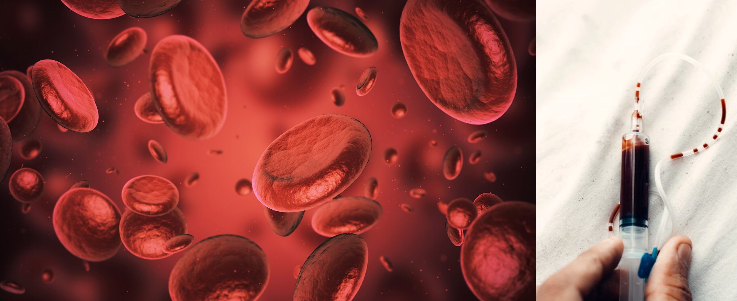 Rare Blood Groups